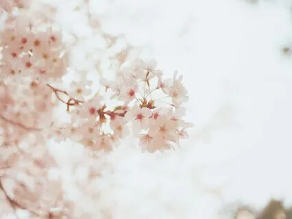 Weightless | Release Worry, Fear & Mental Noise