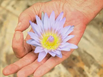 Weightloss Healing Meditation