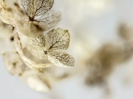 Weißes Rauschen zur Tinnitus-Maskierung (Ultraleicht)