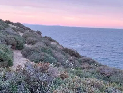 Welcome Blessings While You Sleep - Powerful Affirmations