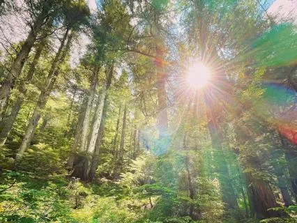 Welcome Flow Into This Dense Physical Body