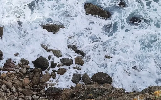 Welcome In Our Bodies