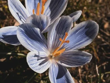 Welcome In A New Year