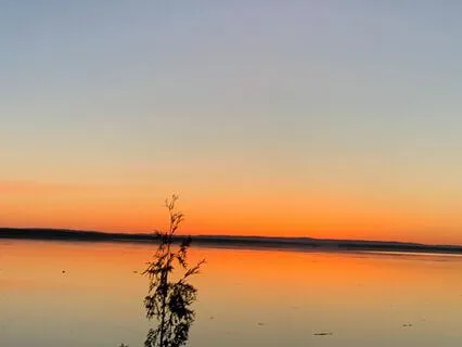 Welcome Light Into Your Life Today