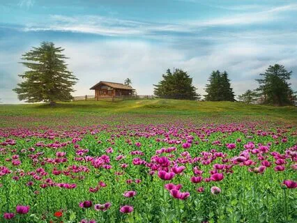 Welcome, Love - A Poem