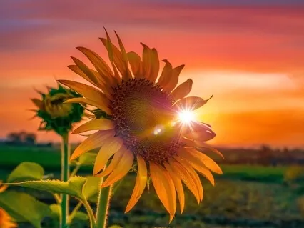 Welcome Summer With A Plan Guided Meditation