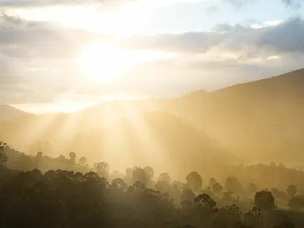 Welcome The Day With Love & Gratitude