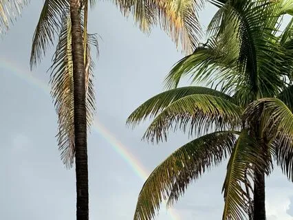 Welcome The Flow Of Life By Releasing Expectations