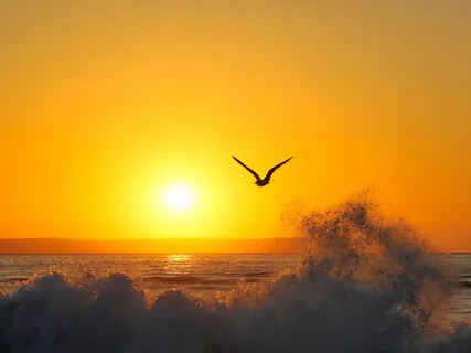 Welcome The Light Of A New Day