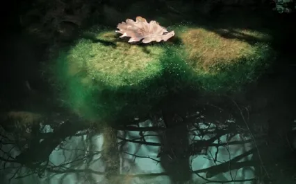 Welcome The Magic Of Rest - For Resting, Relaxing And Sleep