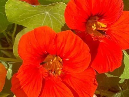 Welcome The Next Version Of You!