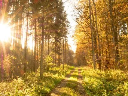 Sing: I Embrace This Day