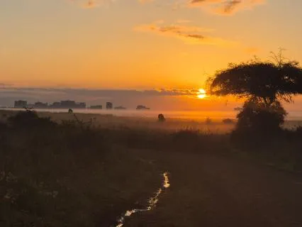 Welcome To Safari And Soul - Meditatation With Bird Sounds