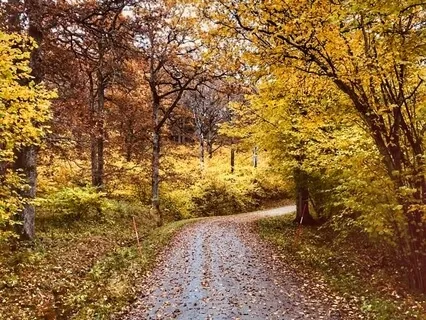 Welcome To Spirituality