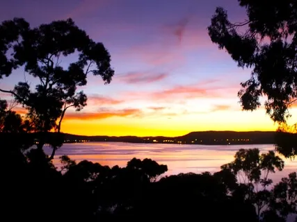 Welcome To The Australian Bush | Early Morning Dawn