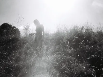 Welcome to the Garden