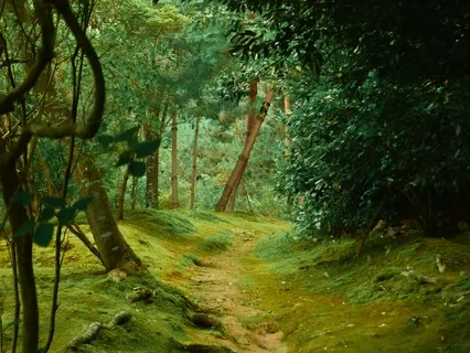 Welcome To The Jungle