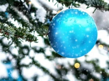 Welcome To The New Year! Refresh And Renew Your Spirit