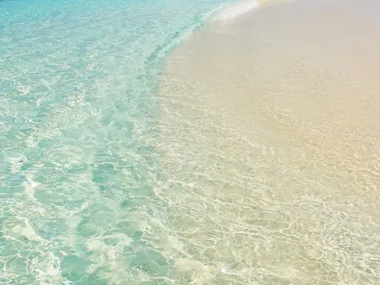 Welcome To The Watering Hole