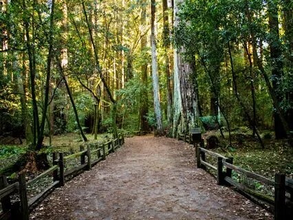 Welcome To Your Inner Sanctuary