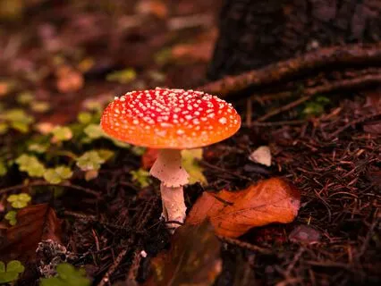 Welcome West January 2024