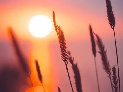 Welcome Your Day With Light Language And Experience Being.