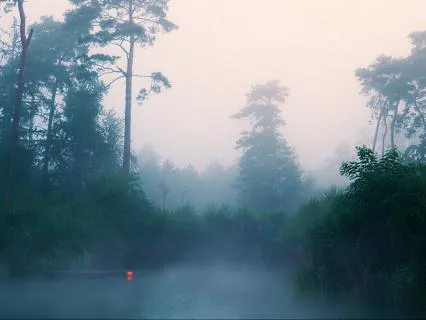 Welcome Your New Mindset | Morning Meditation