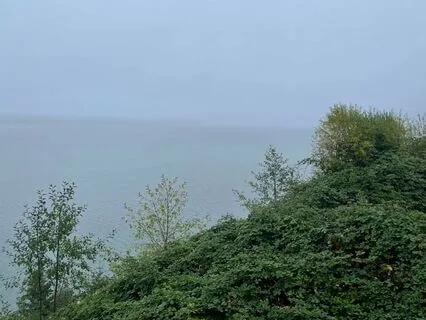 Welcome Yourself Here: A Practice Of Self-Inquiry