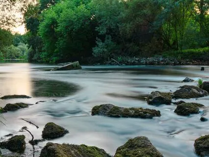 Welcoming Abundance (With Stream Sounds)