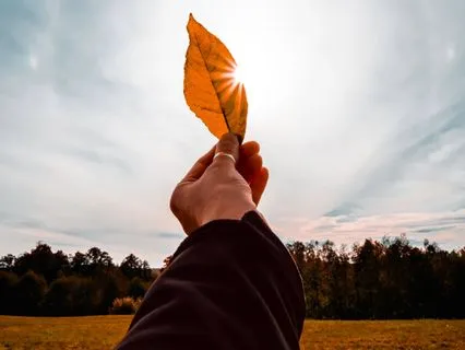 Welcoming All Of You