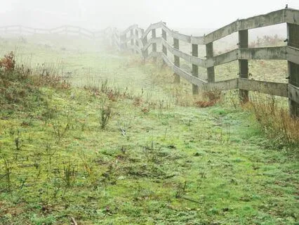 Welcoming Anger Teaching