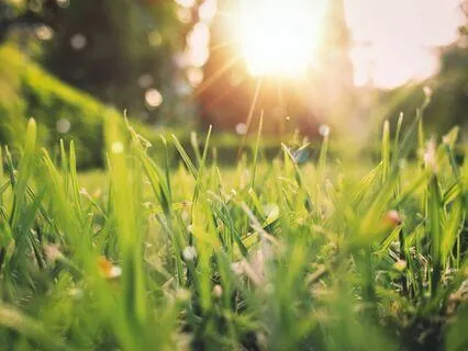 Welcoming East - January 2024