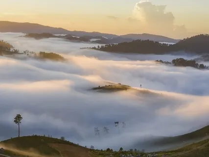 Welcoming Neglected & Forbidden Emotions