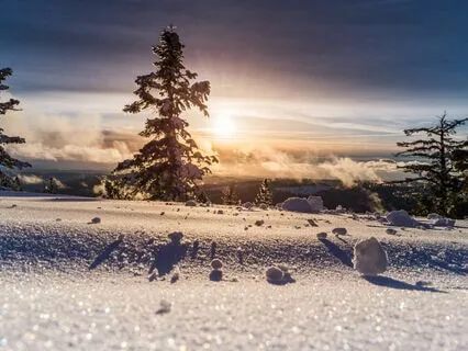 Welcoming North - January 2024