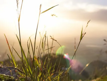 Welcoming Our Discomfort