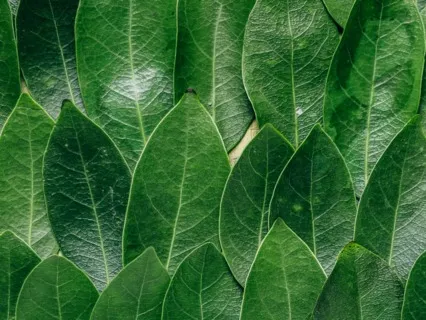 Welcoming Prayer | Christian Meditation