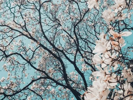 Welcoming Prenatal Yoga Practice