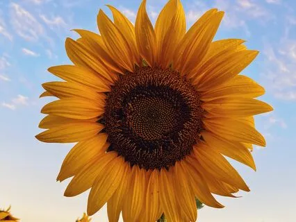 Welcoming South - January 2024