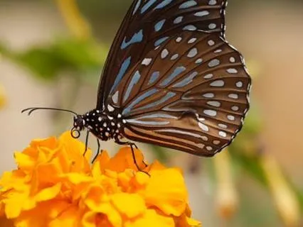 Welcoming Spring - A Return To Growth