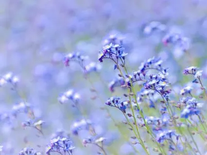 Welcoming Spring Into Your Day