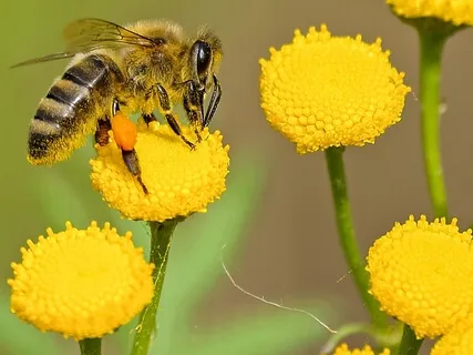 A Talk About Light And Sound 