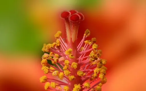 Welcoming The Moment As It Is, Heart Wide Open