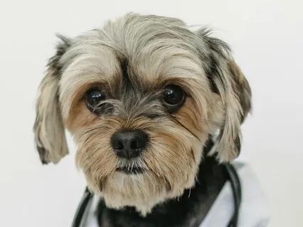 Welcoming White Coat Worry