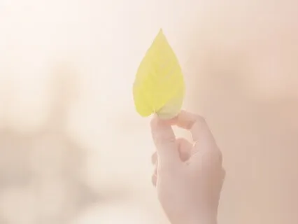 Welcoming Your Soul Into Your Body