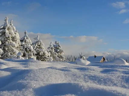 Welcoming Yourself Into Holiday Spirit