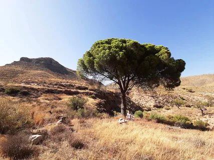 Well Rounded Meditation & Generosity With Beth Upton