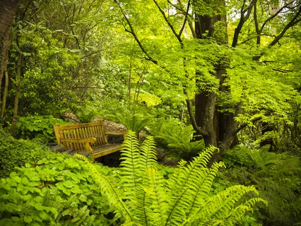 Wellbeing Garden Sanctuary Meditation