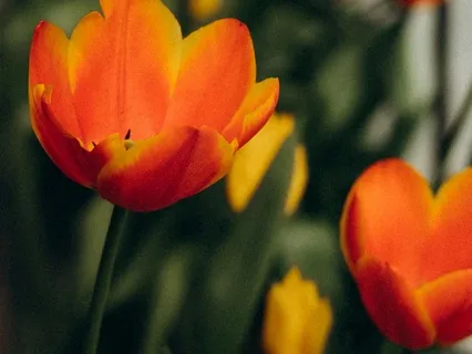 Wellbeing Is Already Within You - March 02