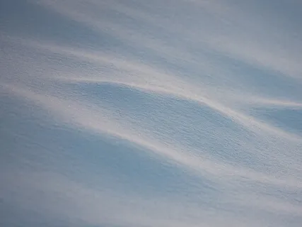 Wellness Exploration Through Movement