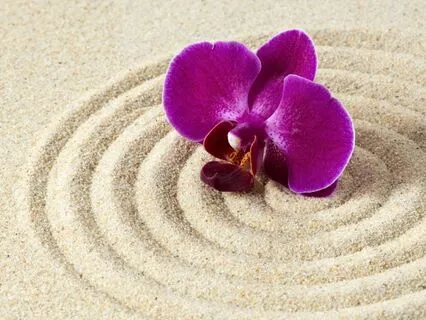 Wellness & Longevity Booster With Stress Release Techniques